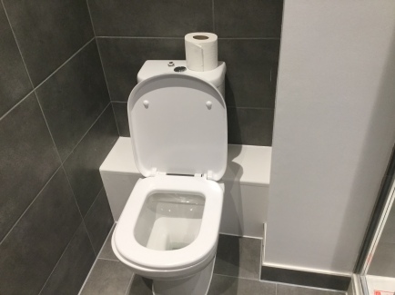5. First flat toilet